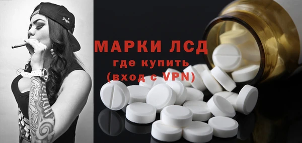 ПСИЛОЦИБИНОВЫЕ ГРИБЫ Абаза