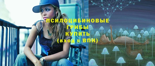 спайс Абинск